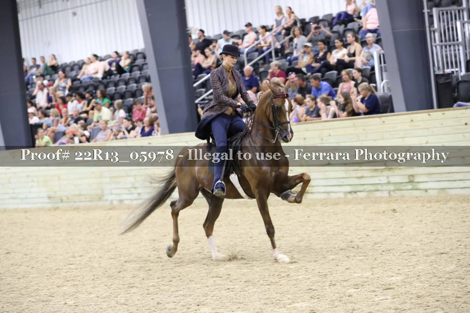 Proof 22R13_05978