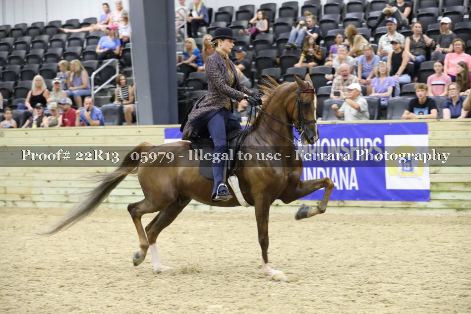 Proof 22R13_05979