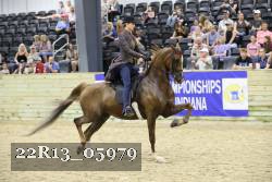 22R13_05979 proof
