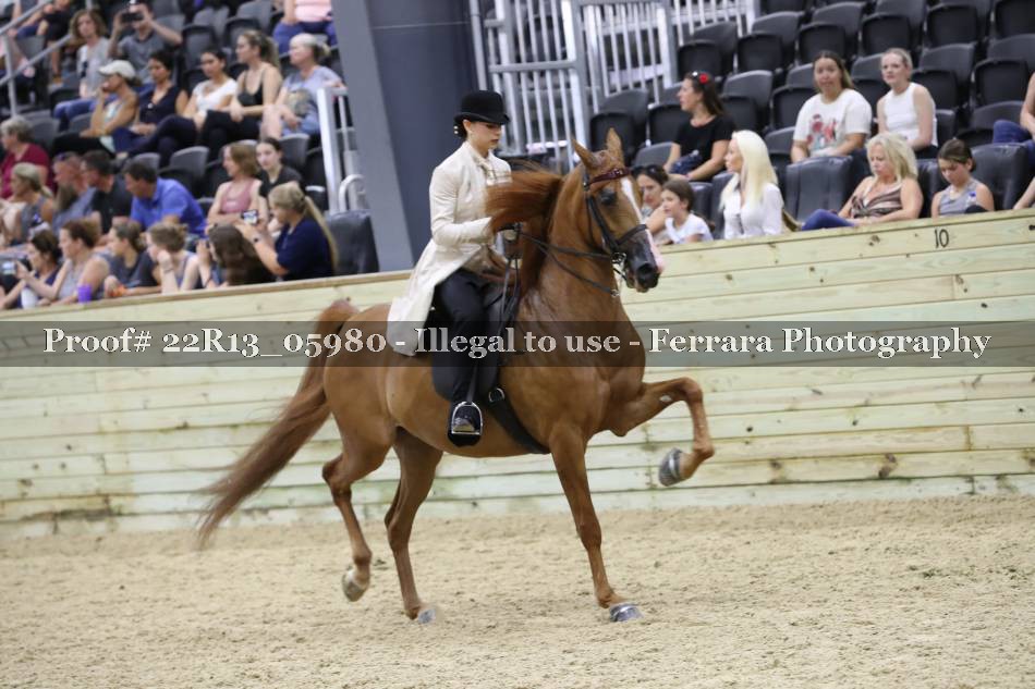 Proof 22R13_05980