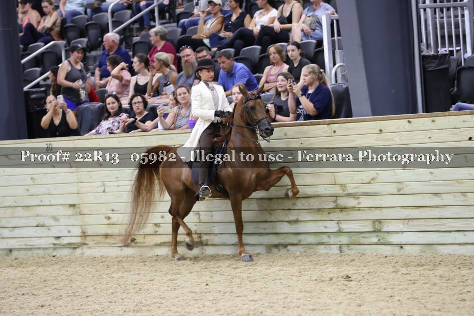 Proof 22R13_05982