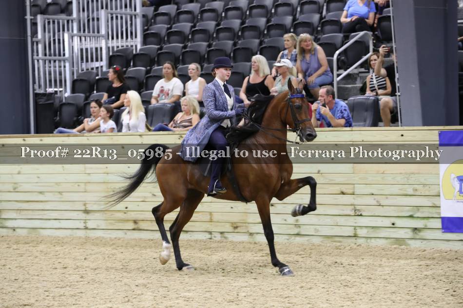 Proof 22R13_05985