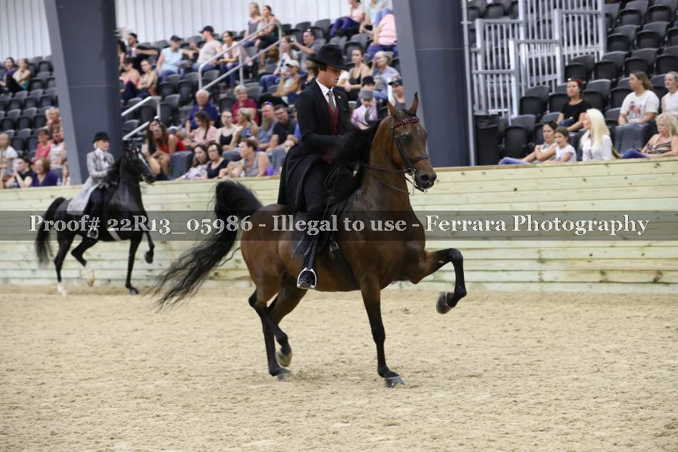 Proof 22R13_05986