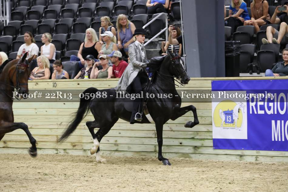 Proof 22R13_05988