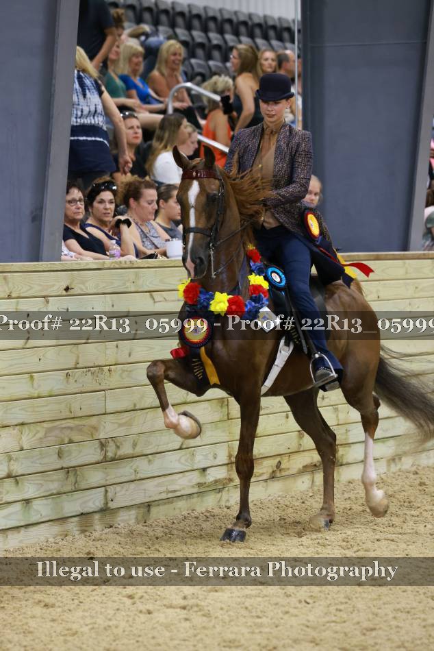 Proof 22R13_05999