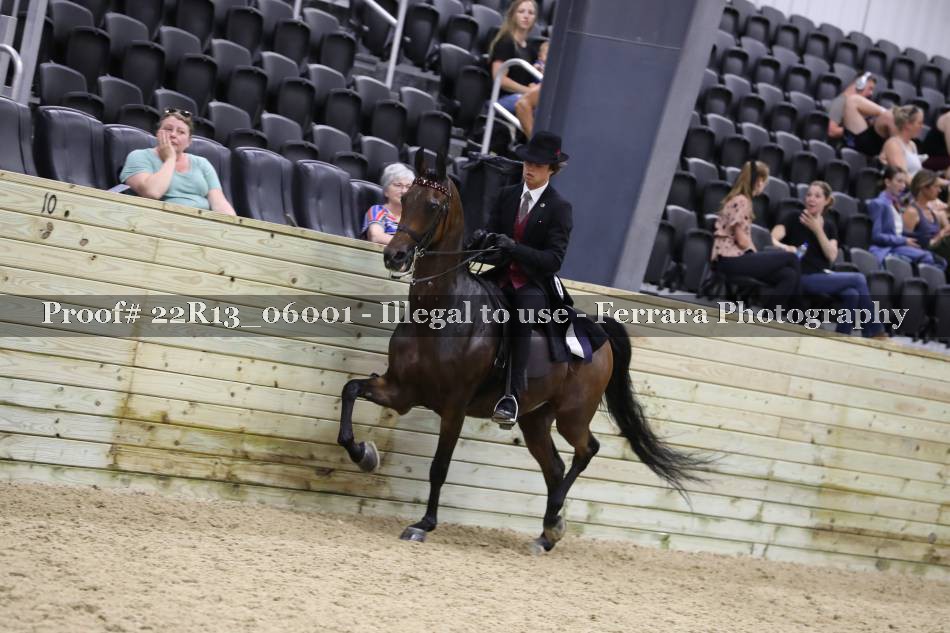 Proof 22R13_06001