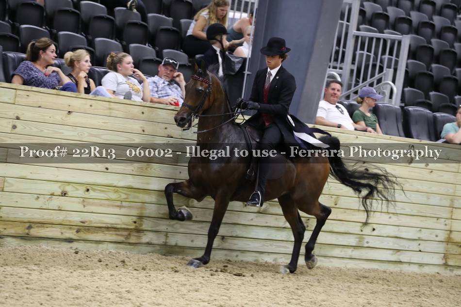 Proof 22R13_06002