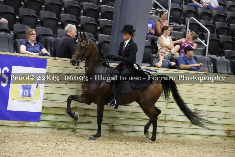 Proof 22R13_06003