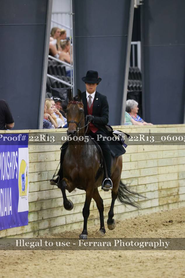 Proof 22R13_06005