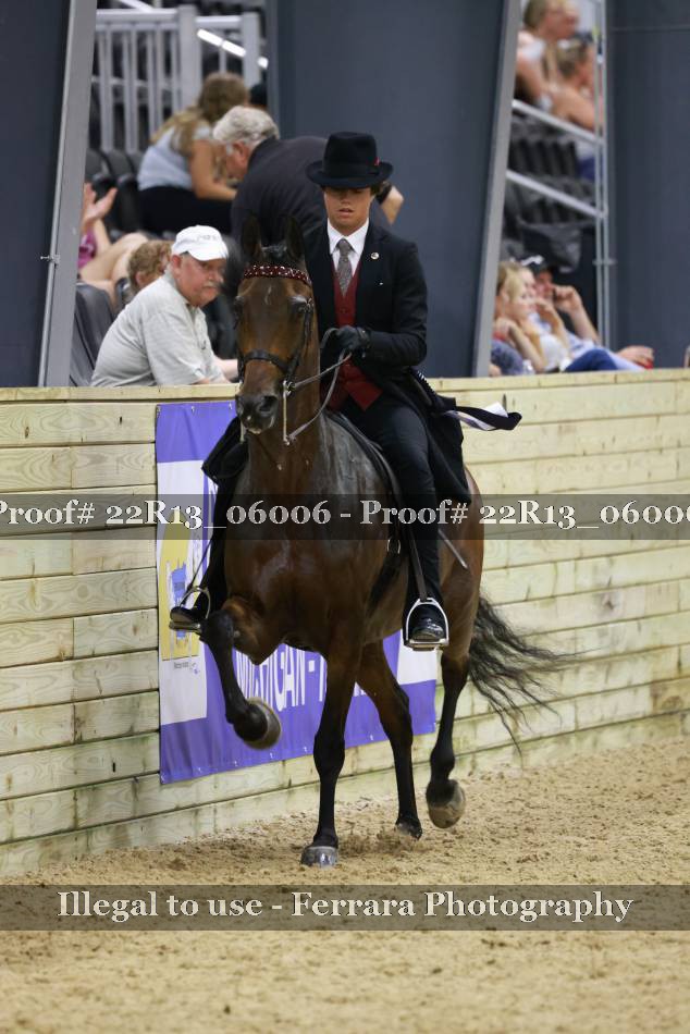 Proof 22R13_06006