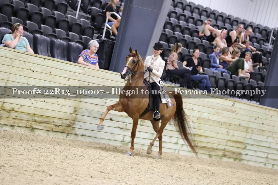 Proof 22R13_06007