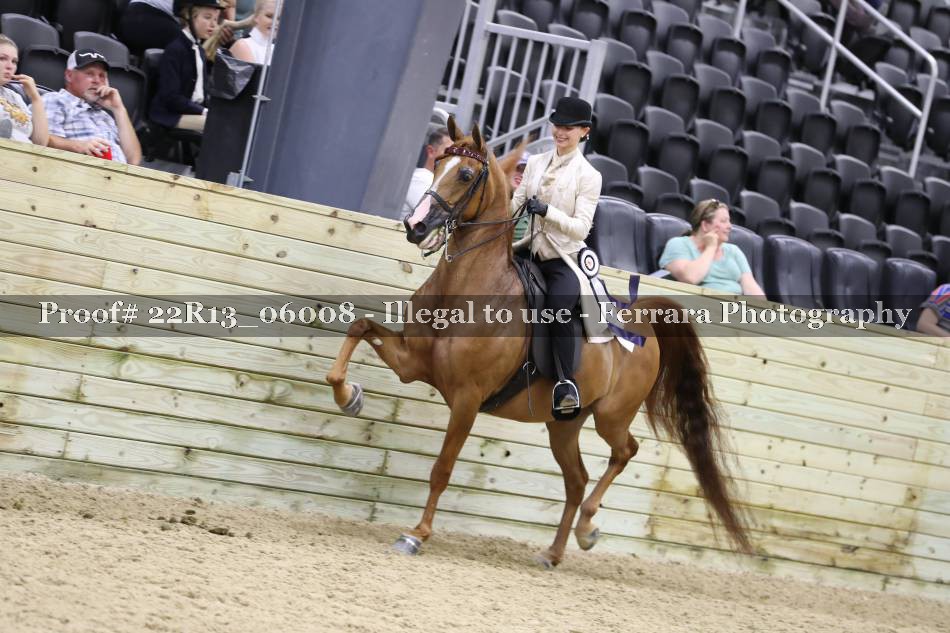 Proof 22R13_06008