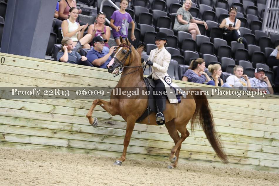 Proof 22R13_06009