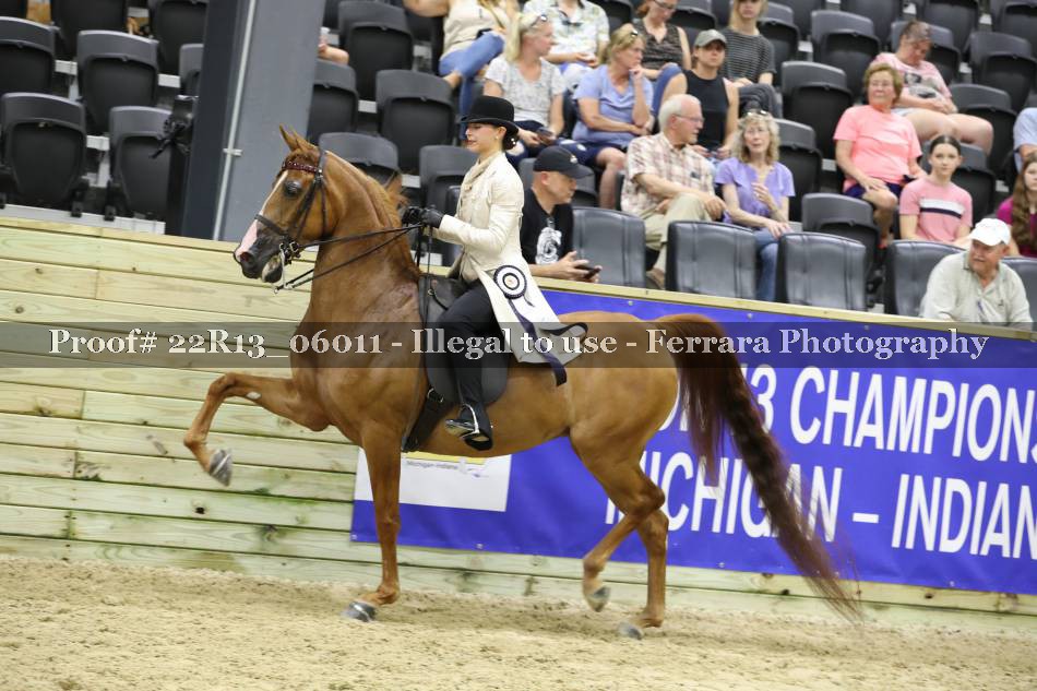 Proof 22R13_06011