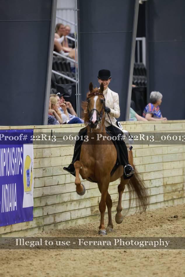 Proof 22R13_06013