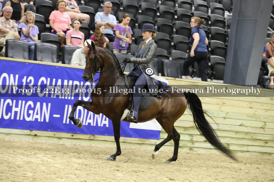 Proof 22R13_06015