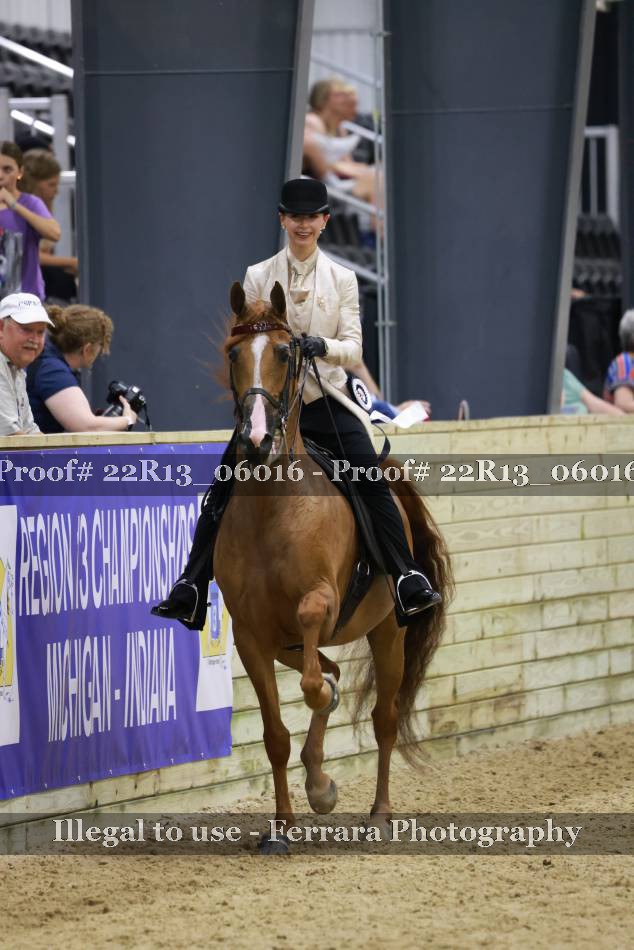 Proof 22R13_06016