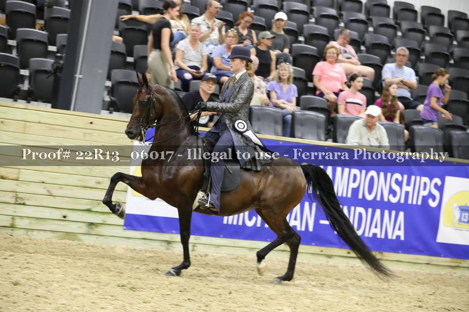 Proof 22R13_06017