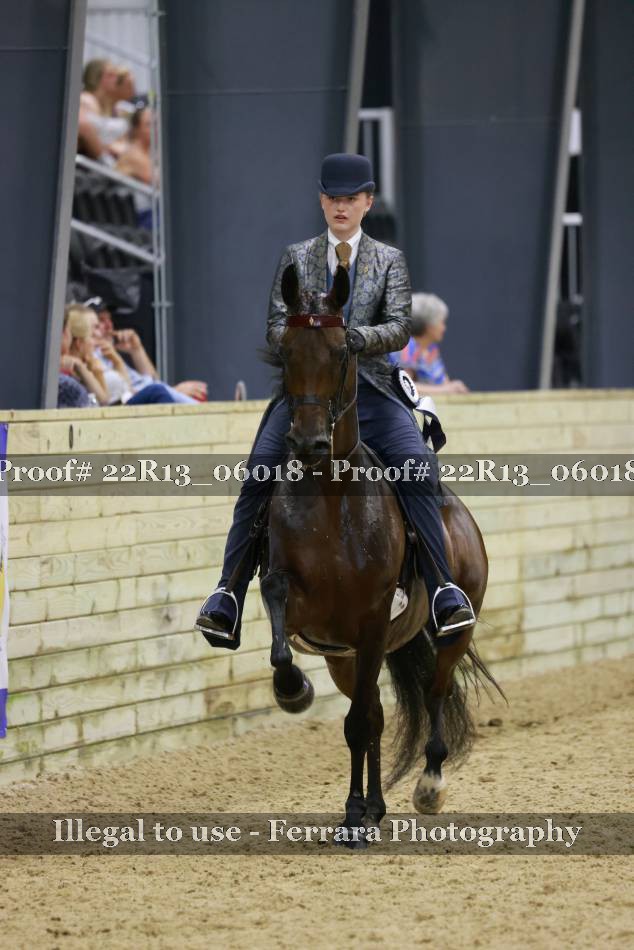 Proof 22R13_06018