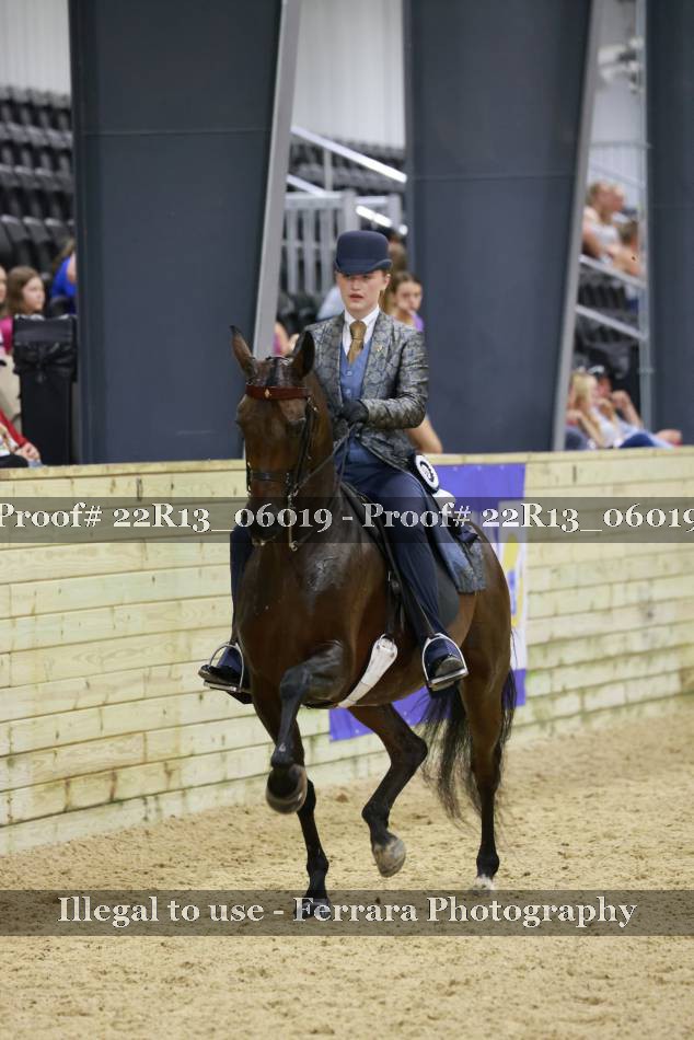 Proof 22R13_06019