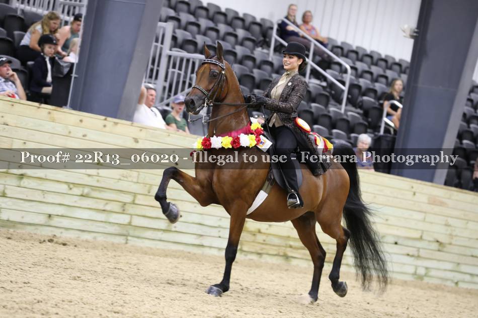 Proof 22R13_06020