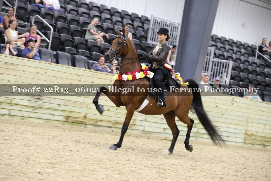 Proof 22R13_06021