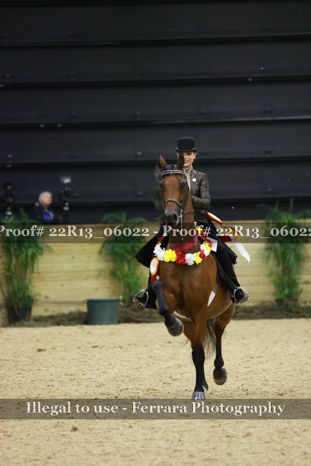 Proof 22R13_06022