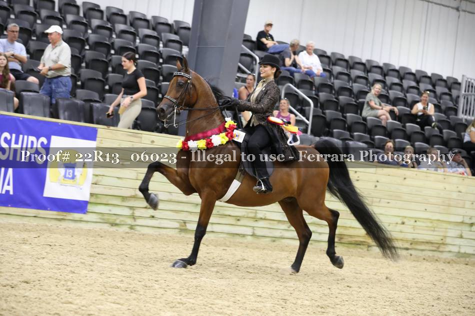 Proof 22R13_06023