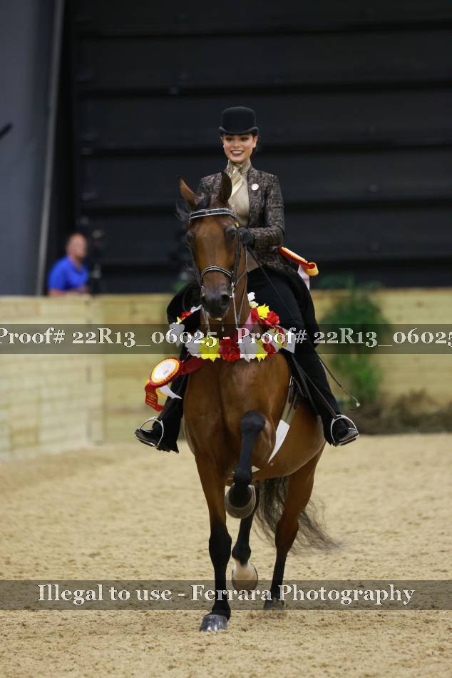 Proof 22R13_06025