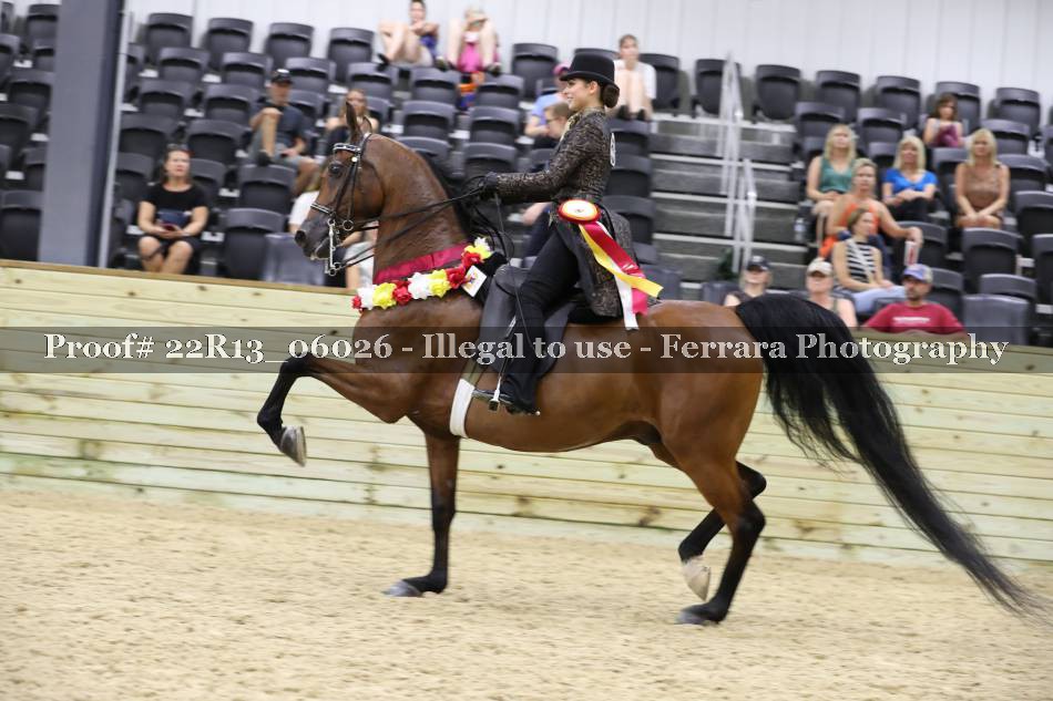 Proof 22R13_06026