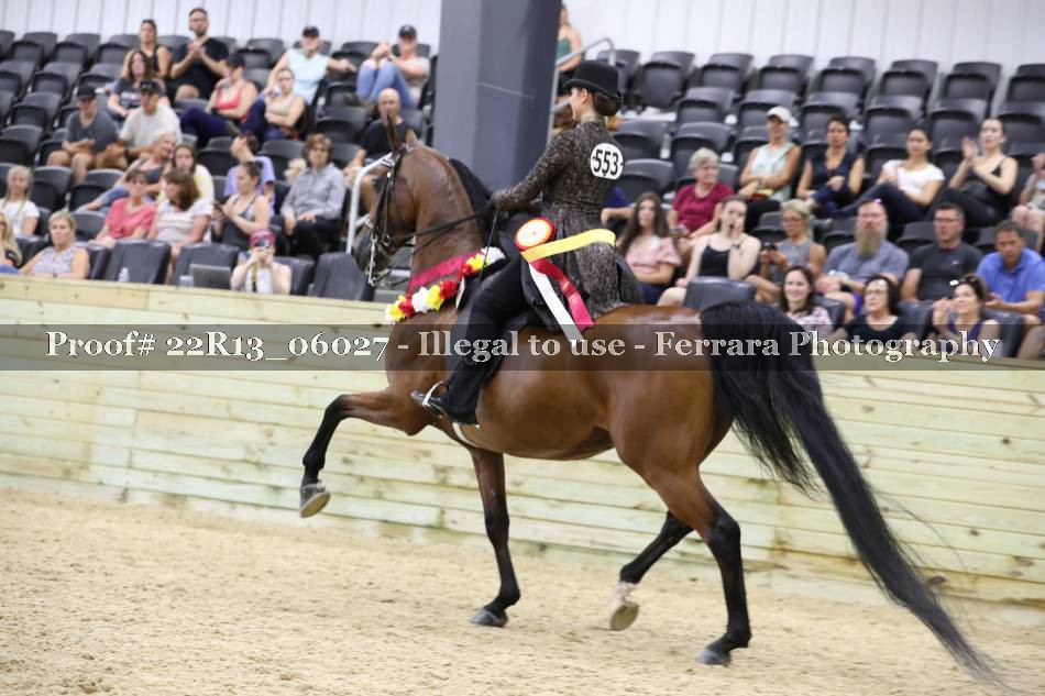 Proof 22R13_06027