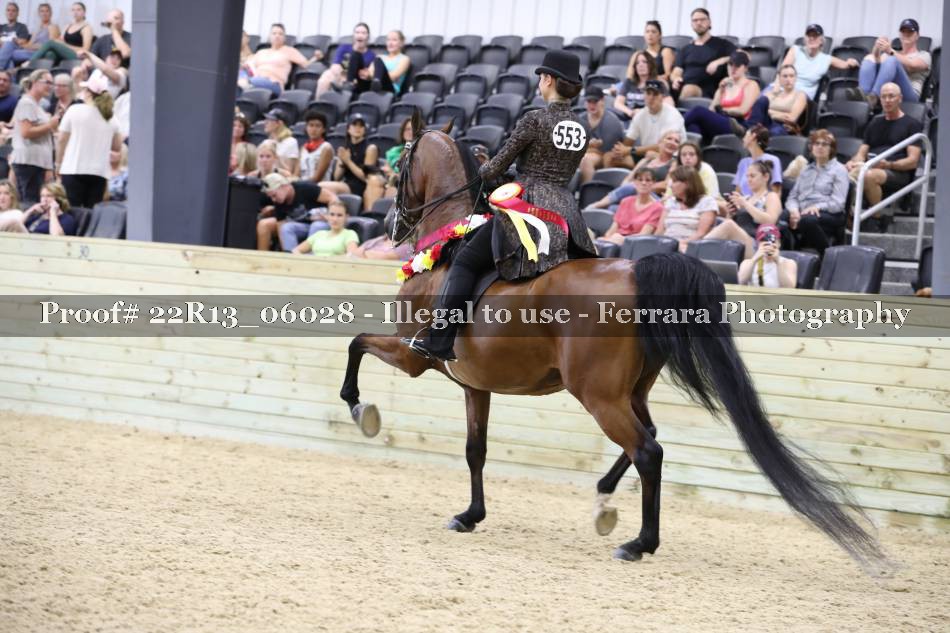 Proof 22R13_06028