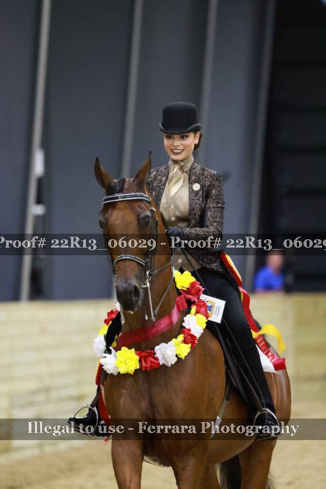 Proof 22R13_06029