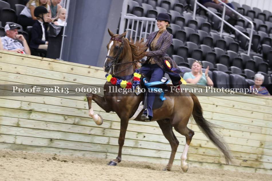 Proof 22R13_06031