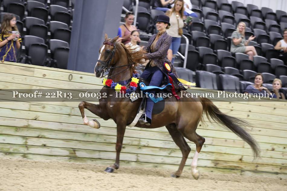 Proof 22R13_06032