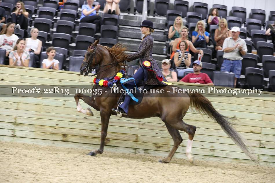 Proof 22R13_06035