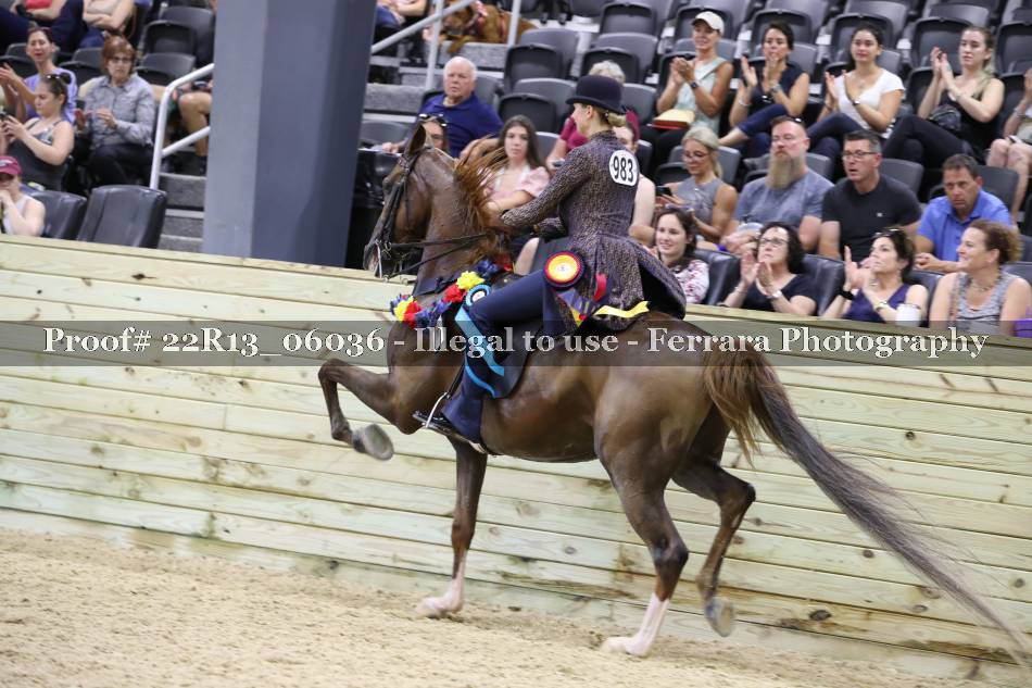 Proof 22R13_06036