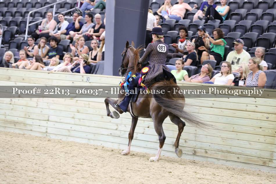 Proof 22R13_06037