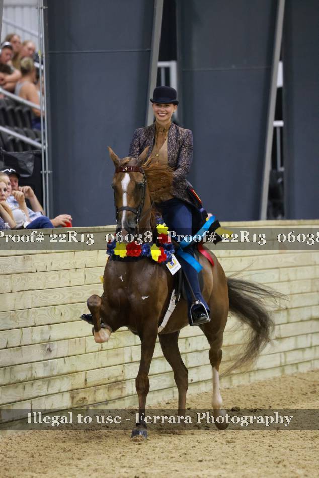 Proof 22R13_06038