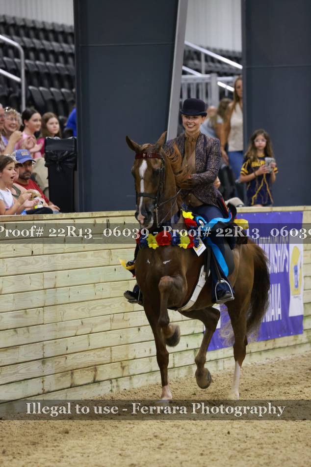 Proof 22R13_06039