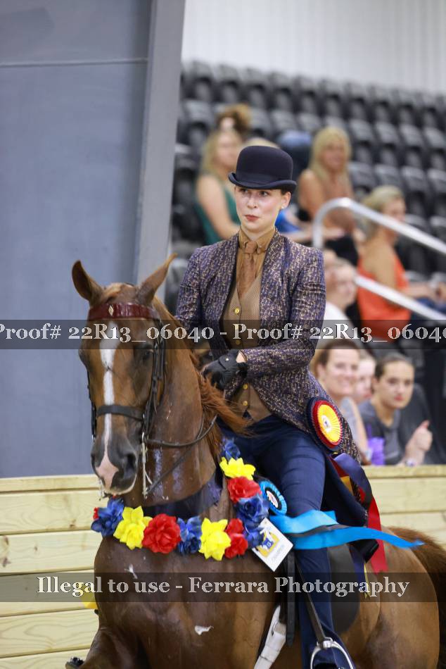 Proof 22R13_06040