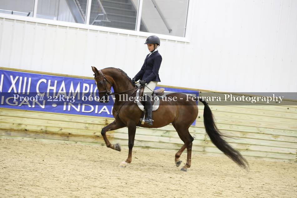 Proof 22R13_06041