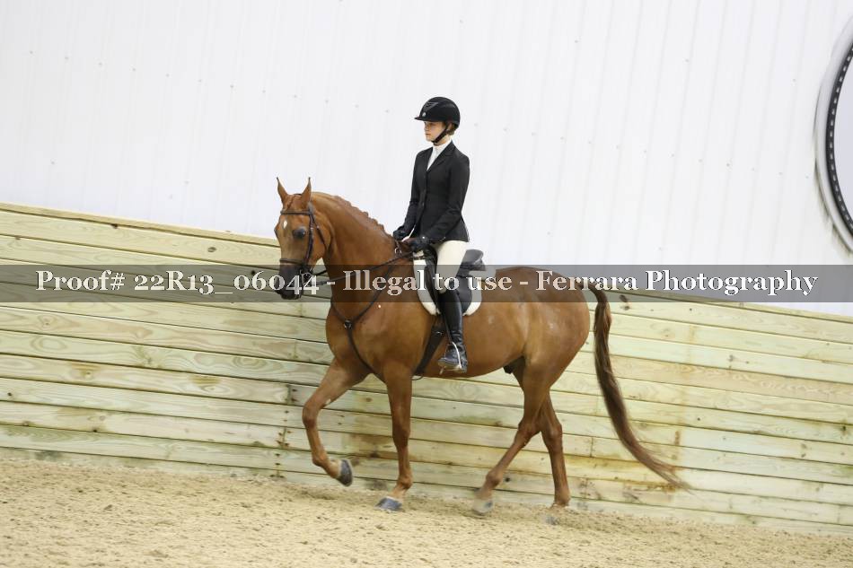 Proof 22R13_06044