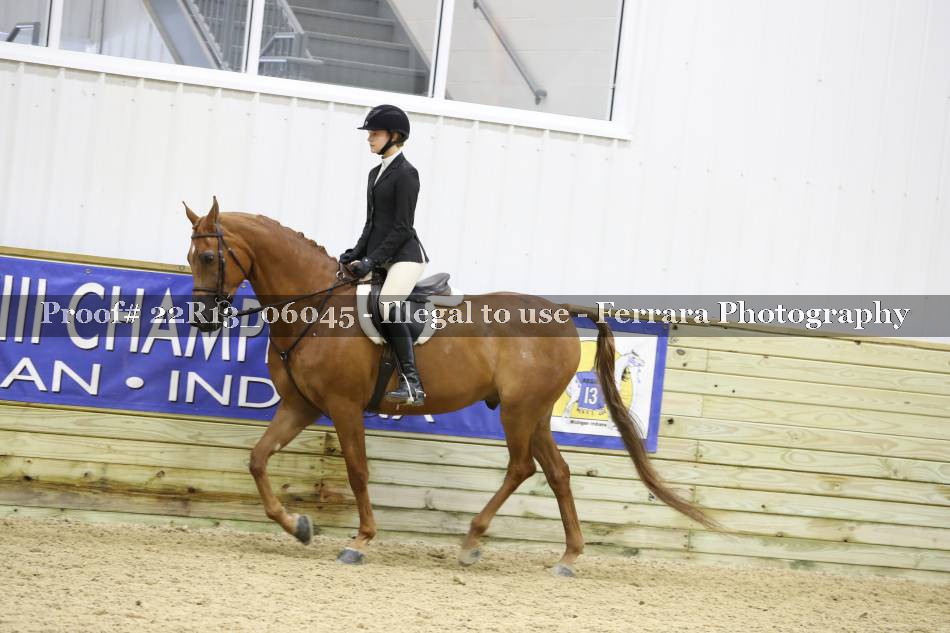 Proof 22R13_06045