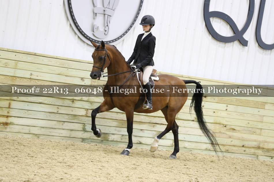 Proof 22R13_06048