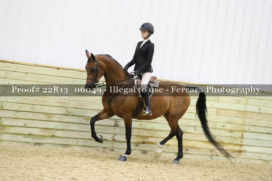 Proof 22R13_06049