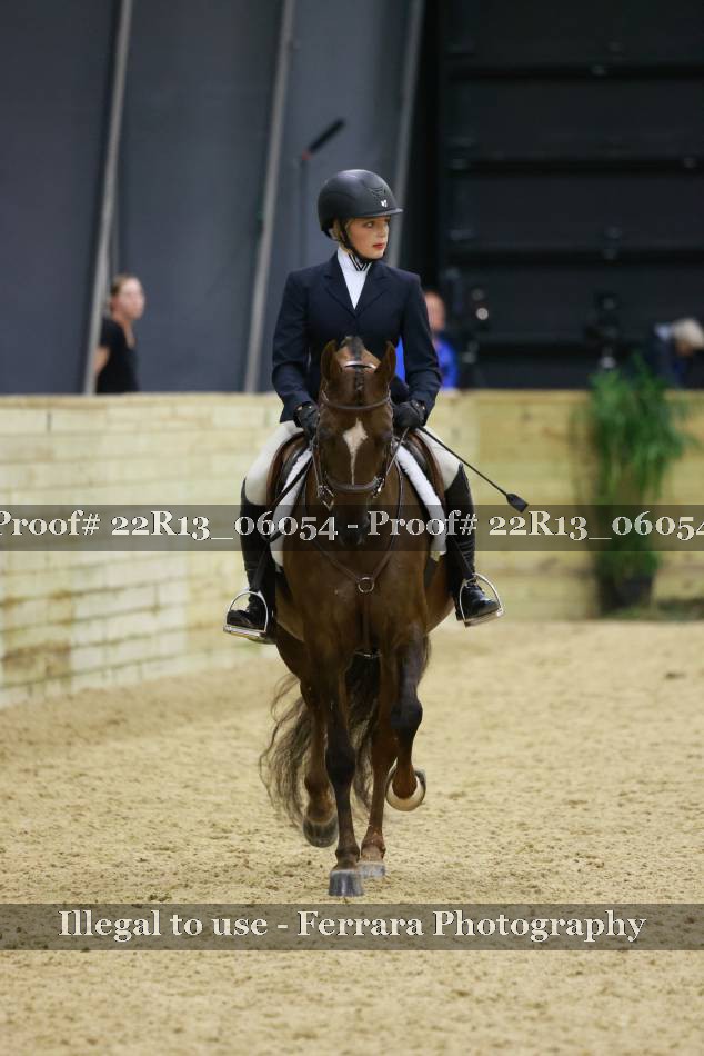 Proof 22R13_06054