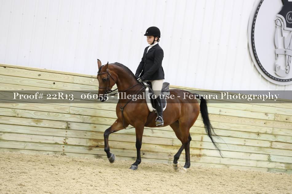 Proof 22R13_06055