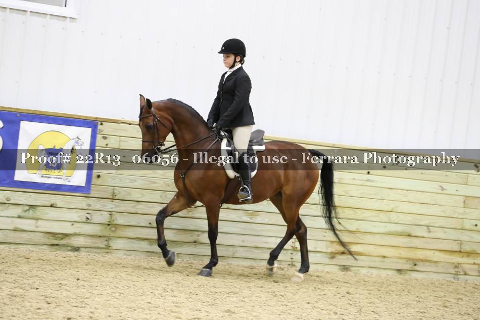 Proof 22R13_06056