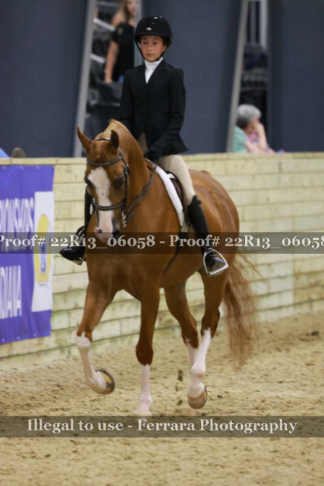Proof 22R13_06058